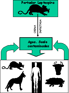 Mas Informaci&oacute;n en este enlace